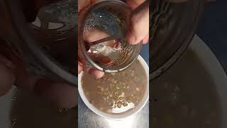 Kacang2an sumber protein terbaik dan terAMAN protein sehat kanker [upl. by Aicekat]