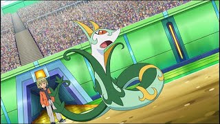 Trips Serperior AMV [upl. by Nahsez]