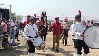 STALLION Raj Swaroop mavli mewad horse show 2024 display [upl. by Amasa]