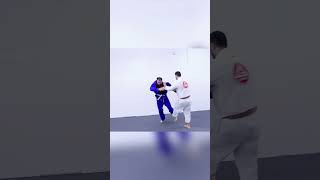 Bradley Martyn vs Black belt BJJ [upl. by Everard]