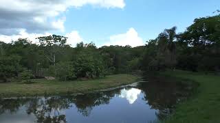 Paraguay  Park in Hohenau  Parc Ecologico  Alfredo Sitzmann Itapua  Sommer 04122022 [upl. by Akinom949]