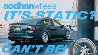 SLAMMED STATIC ACURA TL  AODHANWHEELS DS06 [upl. by Aiet]