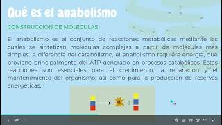 Catabolismo y el Anabolismo celular BIOLOGIA [upl. by Cuthburt437]