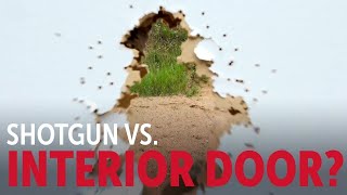 Self Defense Gun Using the Birdshot Into the Fray Episode 230 [upl. by Kumler]