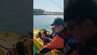 Kayak Fishing  Rockfish shorts kayakfishing fishing [upl. by Nayt]