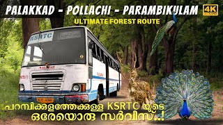 Extremely dangerous forest journey to Parambikulam tiger reserve in a KSRTC LEYLAND bus  4K [upl. by Artined]