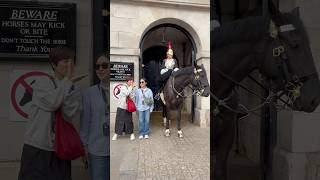 A Magnificent Day at Horse Guards Parade Fun with Regal Horses Shorts [upl. by Reginald]