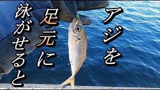 【泳がせ釣り】仕掛け公開簡単仕掛けに大物連発！ [upl. by Tonkin]