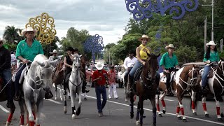 Tradicional desfile hípico en honor a Santo Domingo de Guzmán en Managua [upl. by Yeliak69]