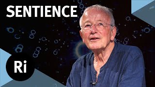 How did consciousness evolve  with Nicholas Humphrey [upl. by Einra]