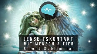 Jenseitskontakt mit Mensch amp Tier  Silent Subliminal [upl. by Eckmann]