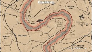 Red Dead Redemption 2  Herbalist Challenge 2  4 Berry Locations [upl. by Alderman]