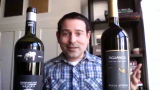 General Overview of Aglianico  James Melendez [upl. by Eanod]