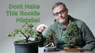 Bonsaify  The One Mistake All Bonsai Beginners Make Heres How to Avoid It [upl. by Meijer]