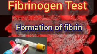 تحليل ال Fibrinogen وتكوين ال Fibrin  Fibrinogen test [upl. by Eleph]