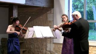 Dvorak Terzetto Op 74 for 2 Violins amp Viola [upl. by Dranyer]