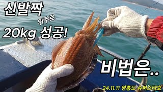 11월 11일 영흥도 갑오징어낚시 대포알 럭비공 시즌은 진행중 [upl. by Sofko]