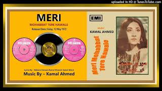 Mera Pyar Bhara Sansar Luta  Naseem Begum Rangeela  Meri Mohabbat Tere Hawale  1972  Vinyl 320K [upl. by Lynch385]