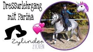 FMADressurlehrgang mit Fariña 6 Jähriger PRE Hengst🦄 Bitte Infobox lesen [upl. by Dekeles]