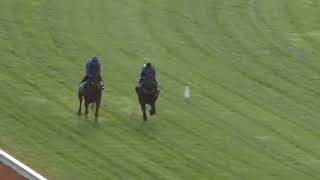 12 Nov Gallops Gallop 6 [upl. by Sheelah]