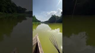 Beautiful view in Ichamati river 🥀 bangladeshtourism shorts shortfeed shortvideo viralvideo [upl. by Eliak]