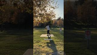 Top drivers for 2024 discgolf Eveliina Salonen destroyer MVP neutron trail [upl. by Aidualk]