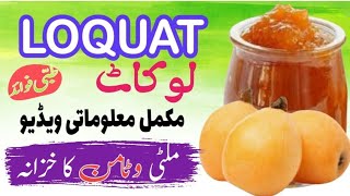 LOQUAT لوکاٹ eriobotrya japonica uses benefits medicine treatment [upl. by Ednihek]