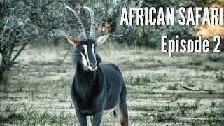 Kudu Blesbok and Record Book Grey Duiker Hunting  quotThe Bondquot [upl. by Ailisab]