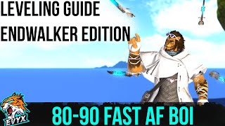 Leveling Guide 8090  Endwalker Edition  NO SPOILERS [upl. by Ros388]