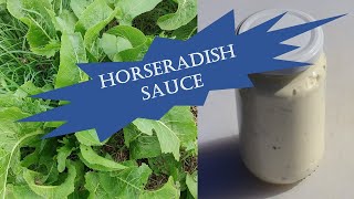 Horseradish  foraging preserving amp making sauce [upl. by Noelle]