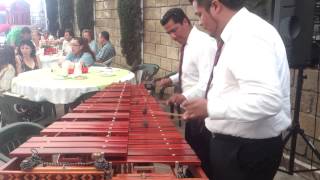 MARIMBA PARA EVENTOS EN TLALNEPANTLA 📱5529693083 [upl. by Monie401]