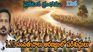 revelation 126  Top Bible Expert Reveals Hidden Meaning of Revelation 12 [upl. by Naquin]