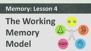 Memory L4  The Working Memory Model [upl. by Narut]