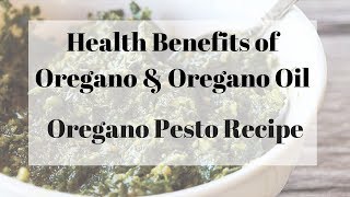 Health Benefits and Uses of Oregano w Oregano Pesto Recipe [upl. by Amian]