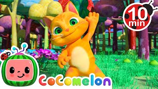 Animal Dance Song  CoComelon Nursery Rhymes amp Kids Songs [upl. by Shatzer15]