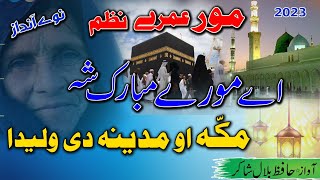 pashto New HD umra Nazam Ay mori mubark sha chi makkah مور عمرہ پشتو نظم by hafiz bilal shakir [upl. by Ateinotna377]