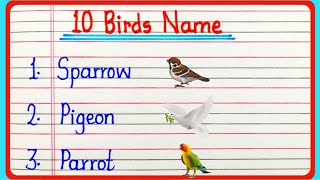 10 birds name in english  birds name  10 पक्षियों के नाम  birds ke naam [upl. by Suoicerp]