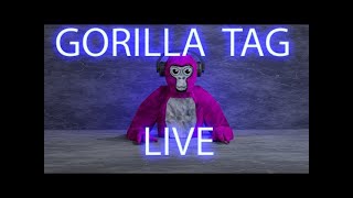 gorilla tag live [upl. by Niwde]