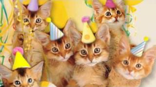 Cute Cats Sing quotHappy Birthdayquot [upl. by Tedie]