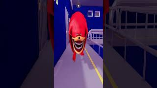 Knuckles Sonic in Sonic Tapes roblox sonic shorts [upl. by Dwayne]