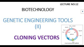 Cloning Vectors  types of cloning vectors biotechnology lectures [upl. by Nazarius895]