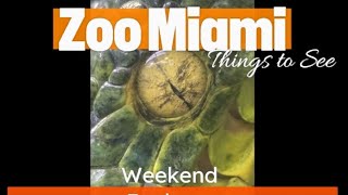 Zoo Miami [upl. by Inobe]