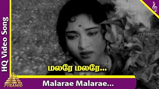 Malare Malare Video Song  Thennilavu Movie Songs  Gemini Ganesan  Vyjayanthimala  Pyramid Music [upl. by Gottuard699]