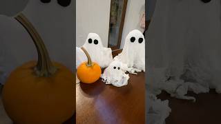 The cutest DIY Halloween craft 👻 [upl. by Joash]