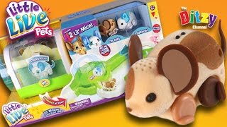 New Little Live Pets Lil’ Mouse Play Trail toy unboxing and adorable fun play 2 pet mice [upl. by Audry]