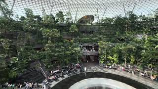 Skytrain Singapore Changi AirportJewel views [upl. by Yelnet]