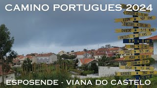 Camino Portugues 2024  Viana do Castelo  english [upl. by Oirelav]