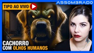 O CACHORRO PARECIA OLHAR DENTRO DE SUA ALMA  quotCACHORRO COM OLHOS HUMANOS OU LOBISOMEM SKINWALKERquot [upl. by Ahsitam]