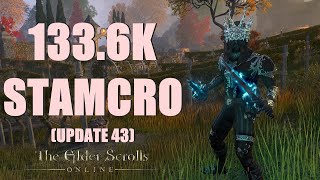 ESO  Stamina Necromancer 1336k PvE DPS Build  Update 43 [upl. by Aleuname]