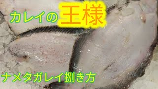 魚の捌き方ナメタガレイ！捌き方 [upl. by Colville]